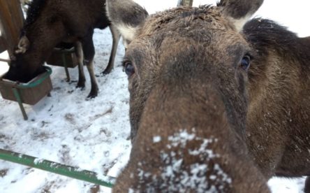Экскурсии по Беларуси Заповедная Беларусь