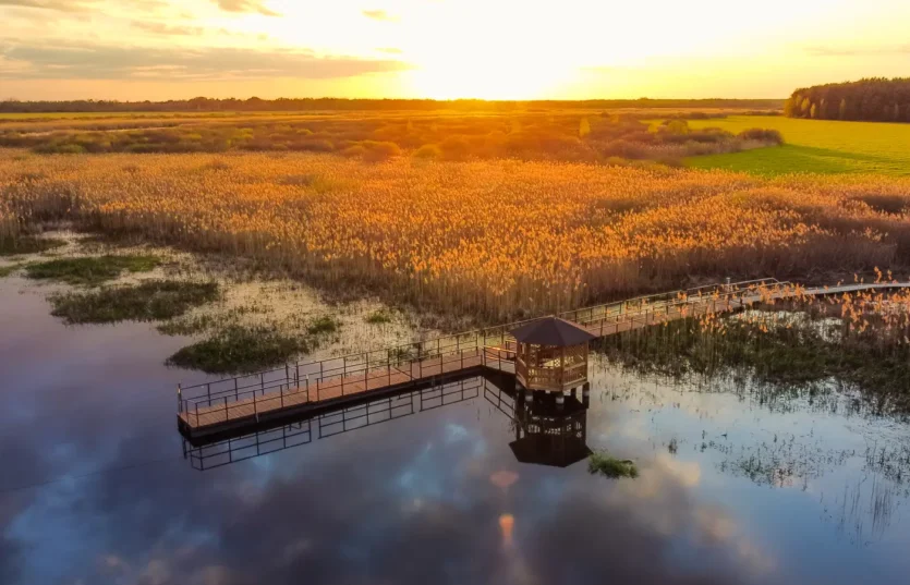 Экскурсия по Беларуси Экологическая тропа «В краю вертлявой камышовки»