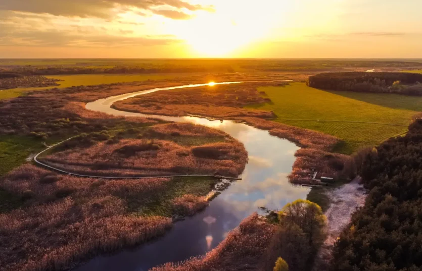 Экскурсия по Беларуси Экологическая тропа «В краю вертлявой камышовки»