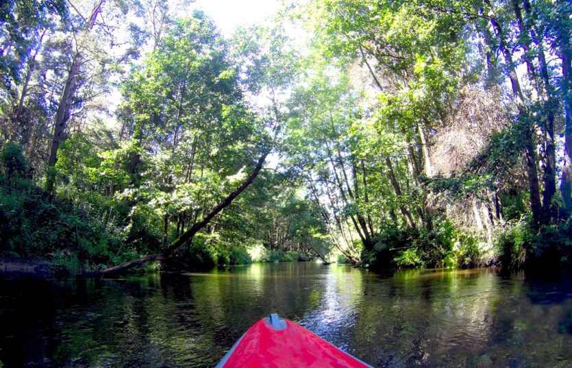 Сплав по реке Ислочь