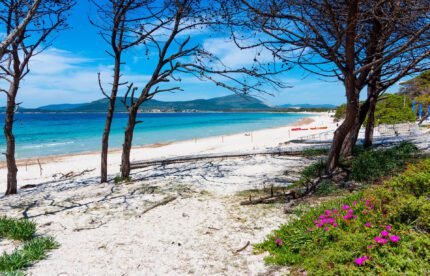 Автобусный тур в Италию с отдыхом на море в Альгеро