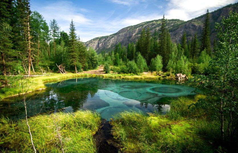 Авиатур на Алтай из Минска