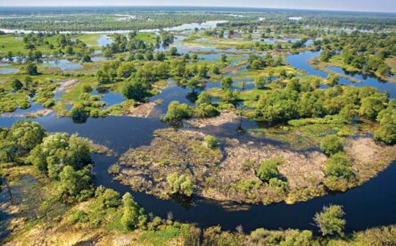 Туры и экскурсии по Беларуси - Национальный парк «Припятский»