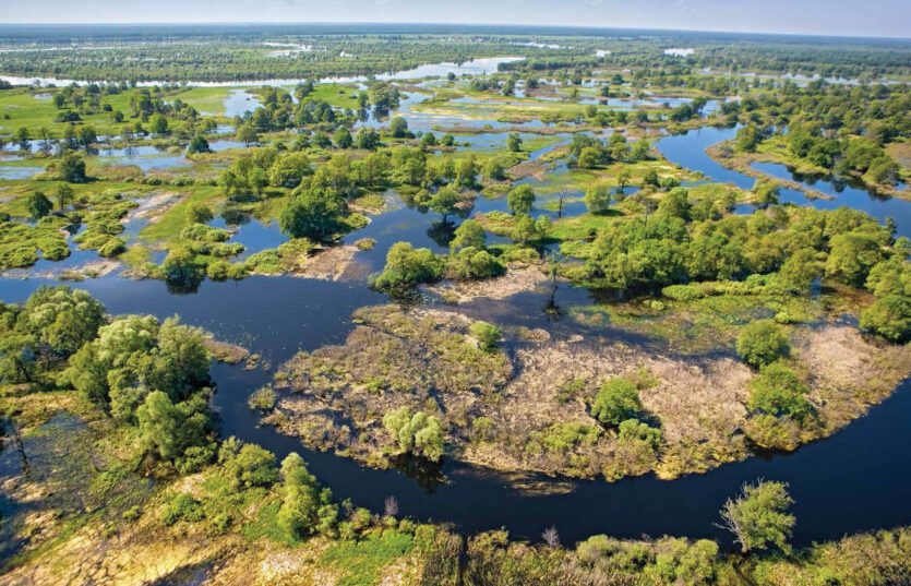 Туры и экскурсии по Беларуси - Национальный парк «Припятский»
